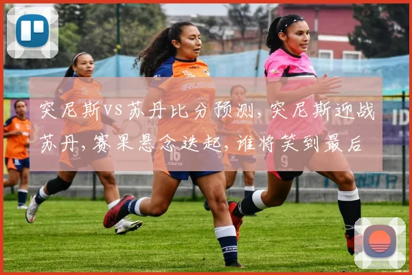 突尼斯vs苏丹比分预测,突尼斯迎战苏丹,赛果悬念迭起,谁将笑到最后