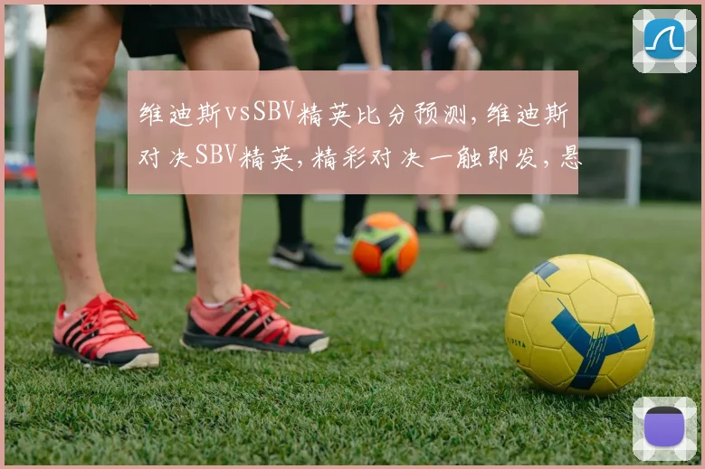 维迪斯vsSBV精英比分预测,维迪斯对决SBV精英,精彩对决一触即发,悬念待解