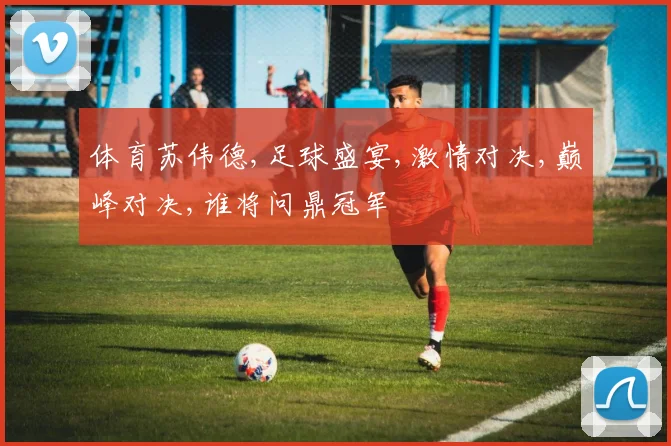 体育苏伟德,足球盛宴,激情对决,巅峰对决,谁将问鼎冠军