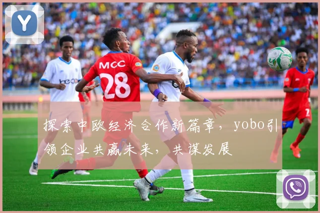 探索中欧经济合作新篇章，yobo引领企业共赢未来，共谋发展
