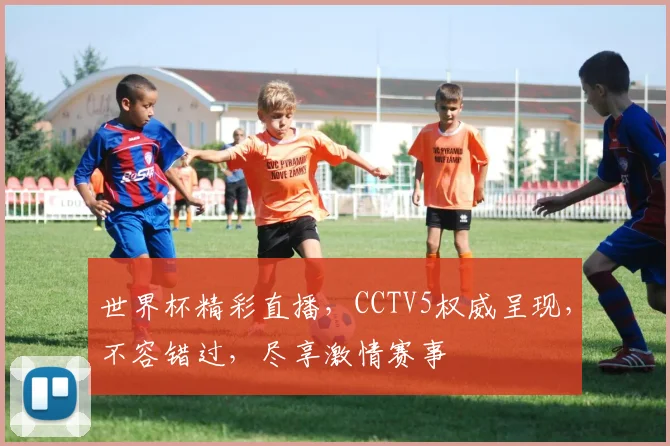 世界杯精彩直播，CCTV5权威呈现，不容错过，尽享激情赛事